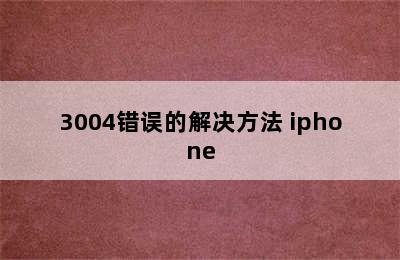 3004错误的解决方法 iphone